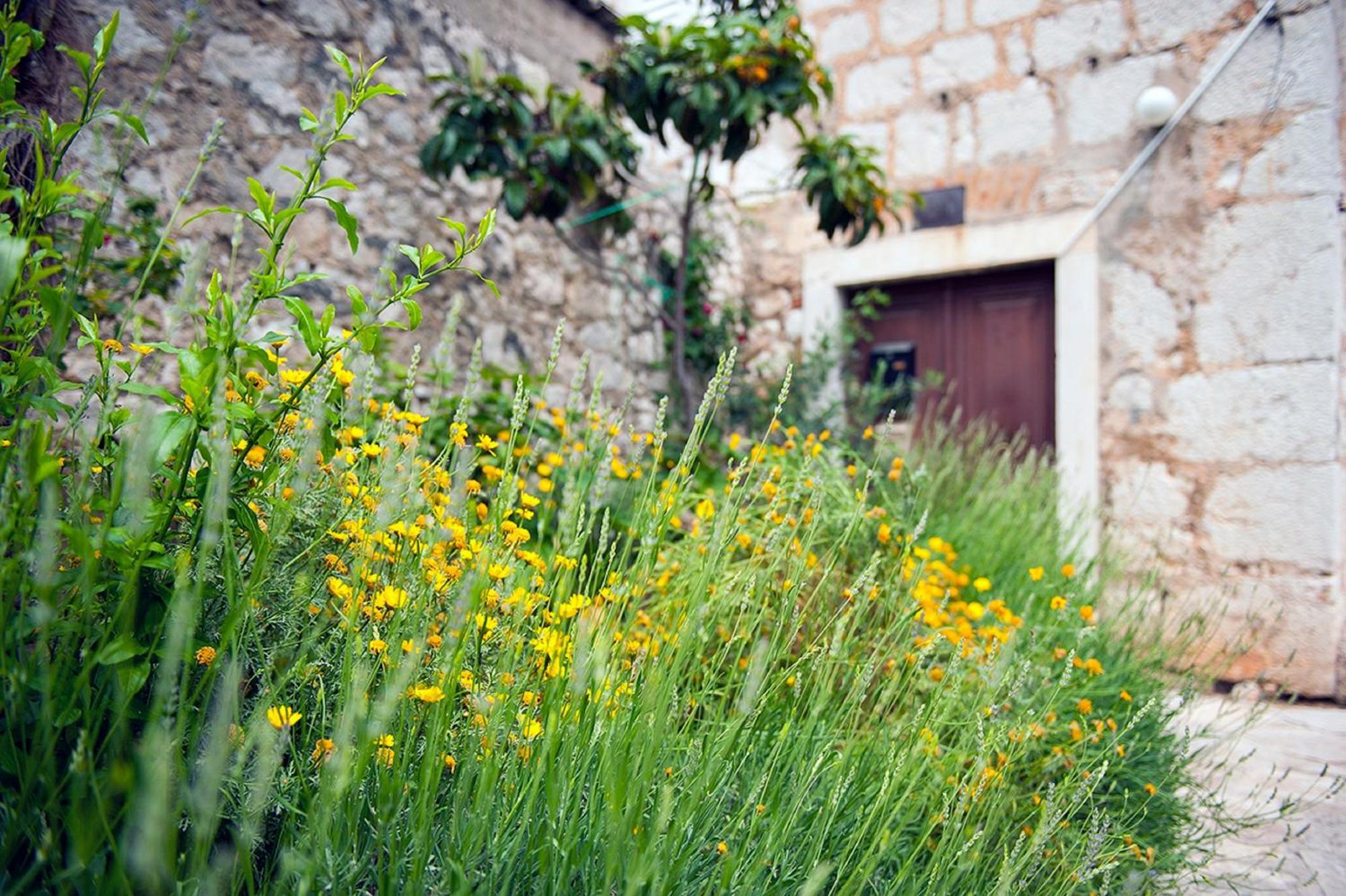 Dalmatian Garden - Free Parking - City Centre Шибеник Экстерьер фото